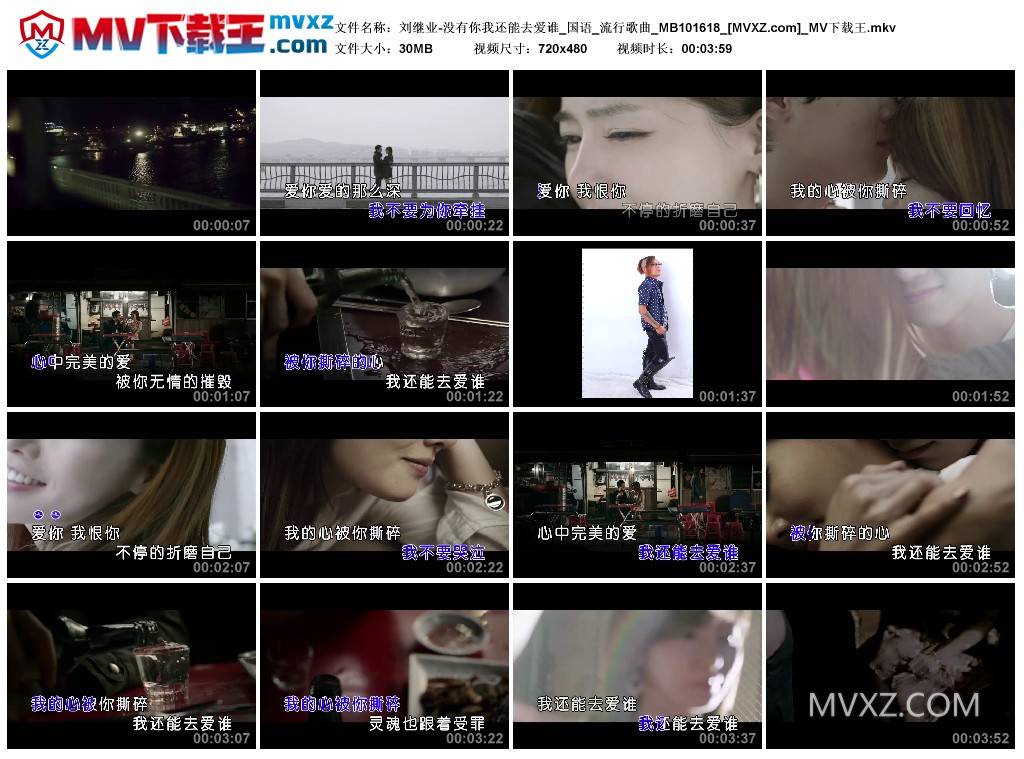 刘继业-没有你我还能去爱谁_国语_流行歌曲_MB101618